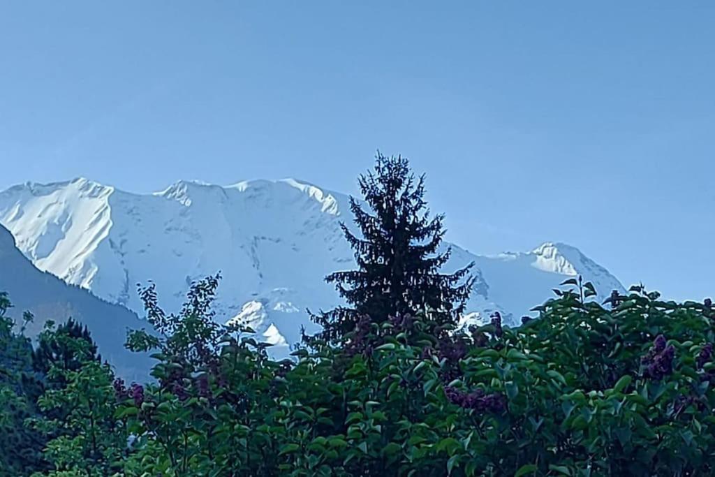 Appartement Dans Chalet - 75 M2 - 4 A 6 Personnes Saint-Gervais-les-Bains Exterior foto