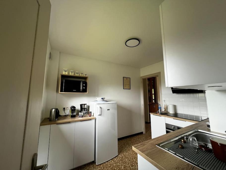 Appartement Dans Chalet - 75 M2 - 4 A 6 Personnes Saint-Gervais-les-Bains Exterior foto