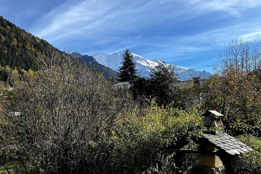 Appartement Dans Chalet - 75 M2 - 4 A 6 Personnes Saint-Gervais-les-Bains Exterior foto